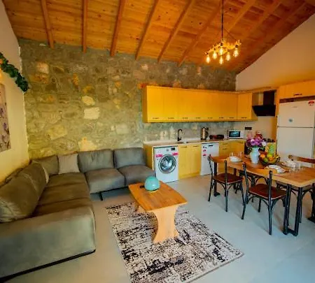 别墅 Ege & Yigit & Yagiz - Happy Villalari 费特希耶