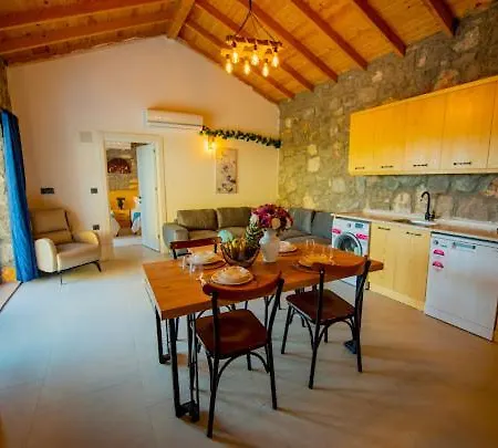 Ege & Yigit & Yagiz - Happy Villalari 费特希耶